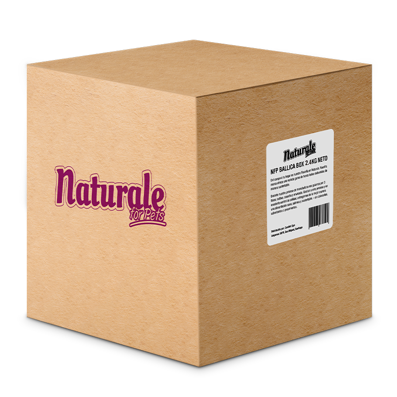 Ballica Box 2.4 kg