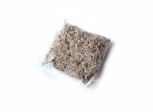 Textura de Moho spaghum