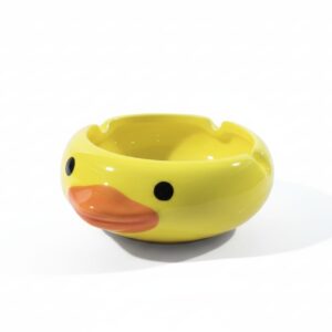 Refugio patito